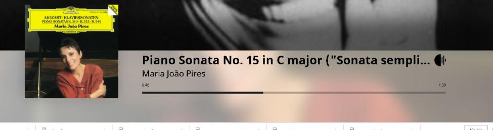mpzart pires.jpg