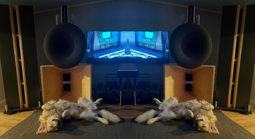 næss stereo.png