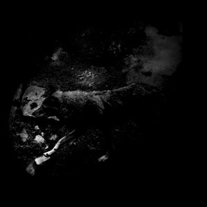 October Falls - The Womb of Primordial Nature.jpg