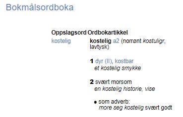 ordbok-kostelig.JPG