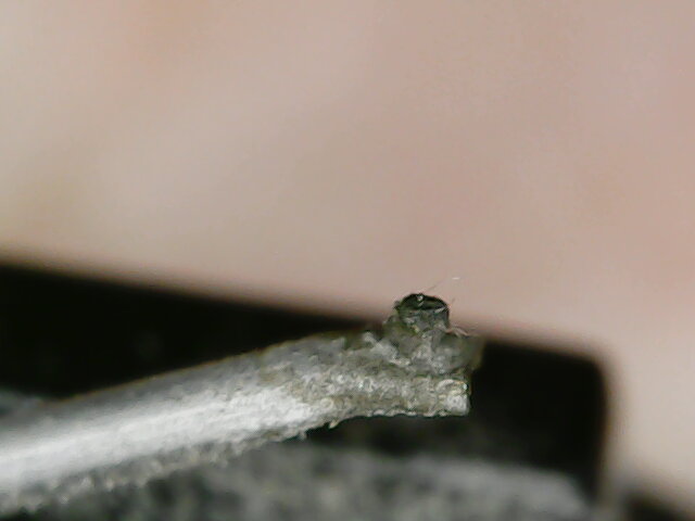 Ortofon MC 15 Super II d.jpg