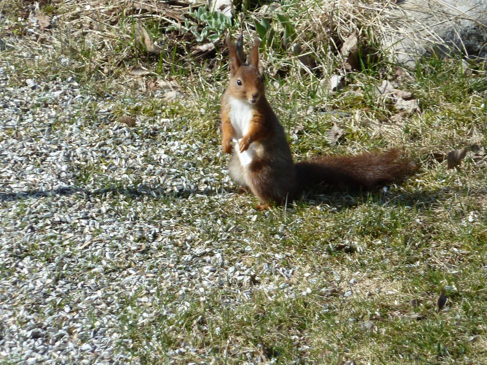 P1000207.jpg