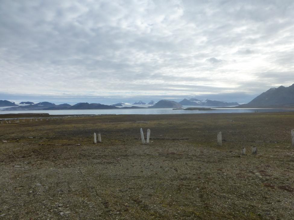 P1000766.jpg