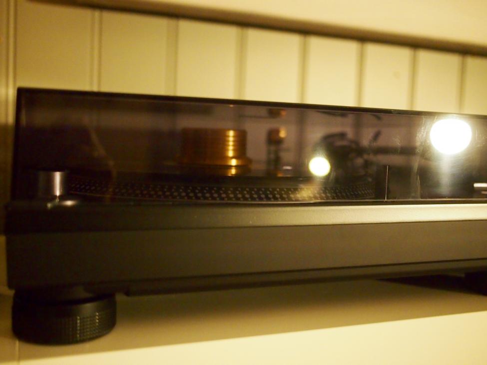 P2201115.jpg