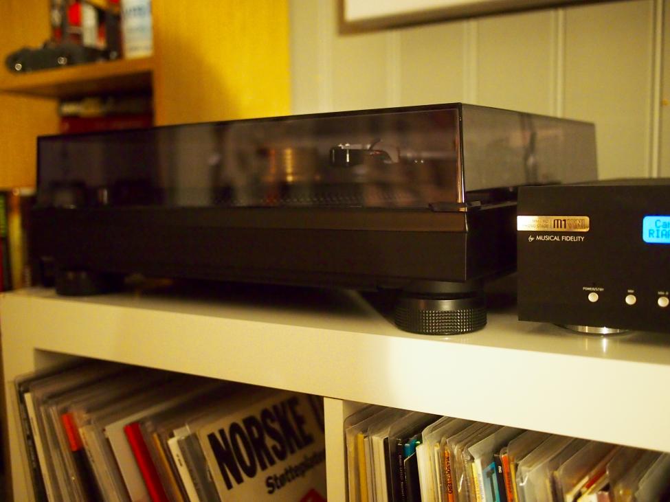 P2201116.jpg