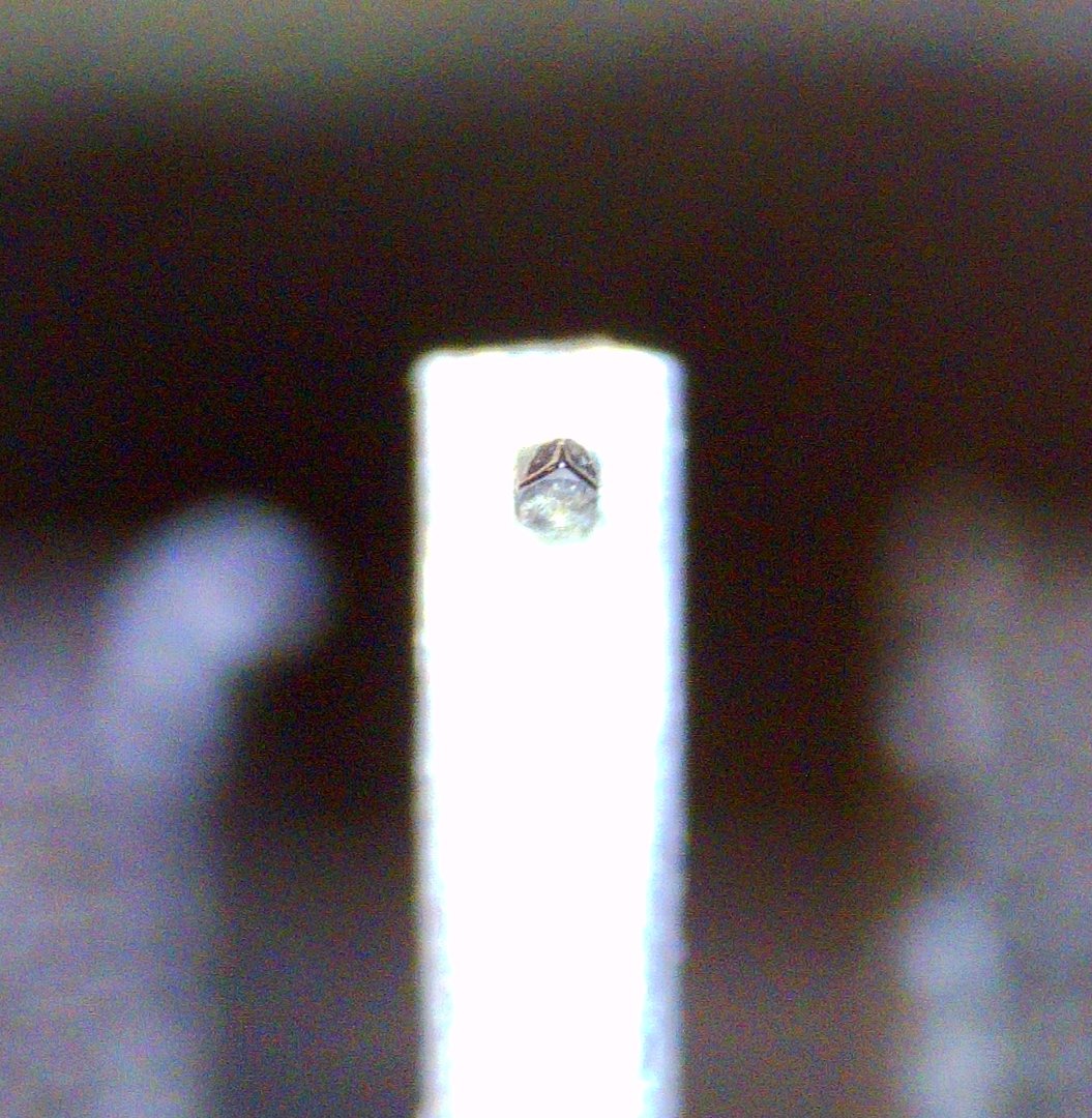 PICT0005_2.jpg