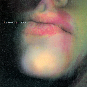 PJHarveyDryalbumcover.jpg