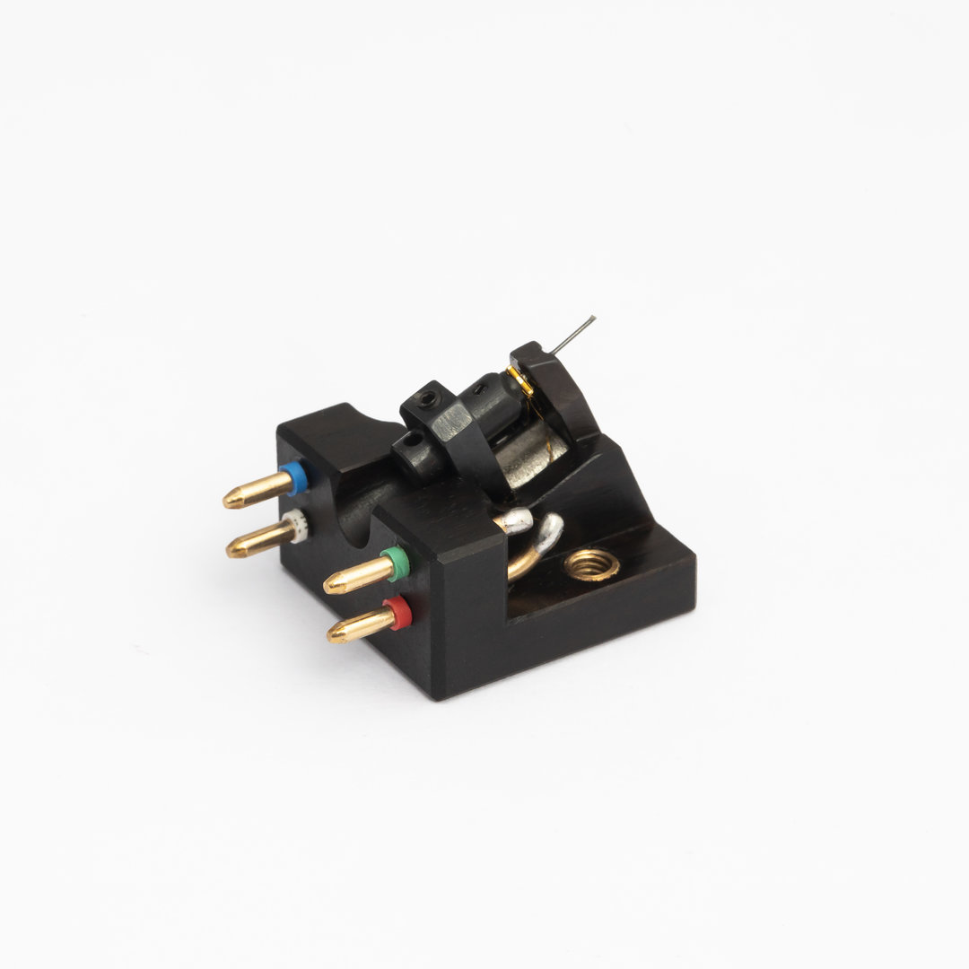 PL GOLD BS Black African Ebony BABYL_1.jpg