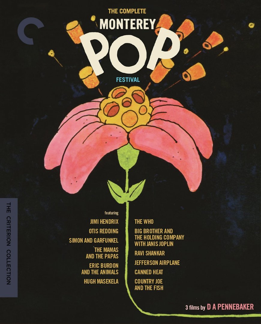 pop bd.jpg