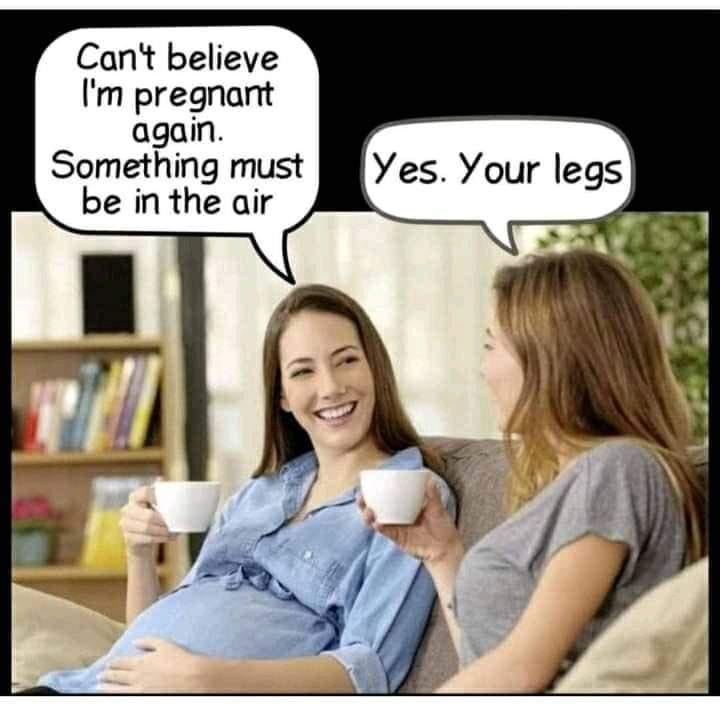 Pregnant Again.jpg