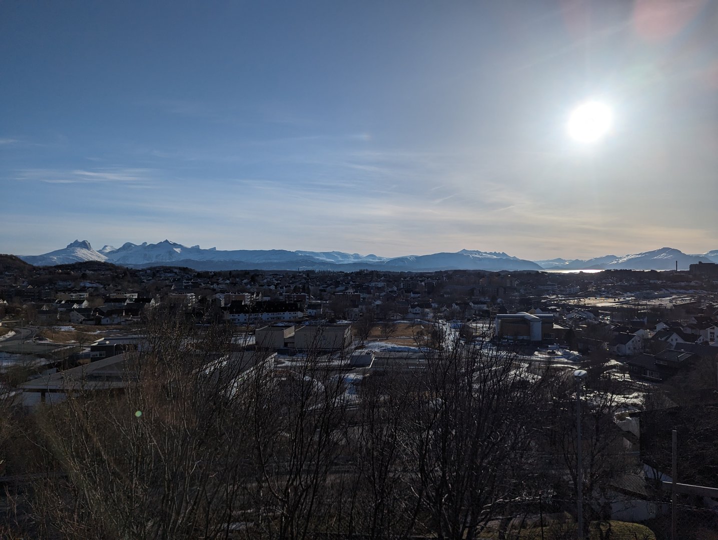 PXL_20240302_123033384.jpg