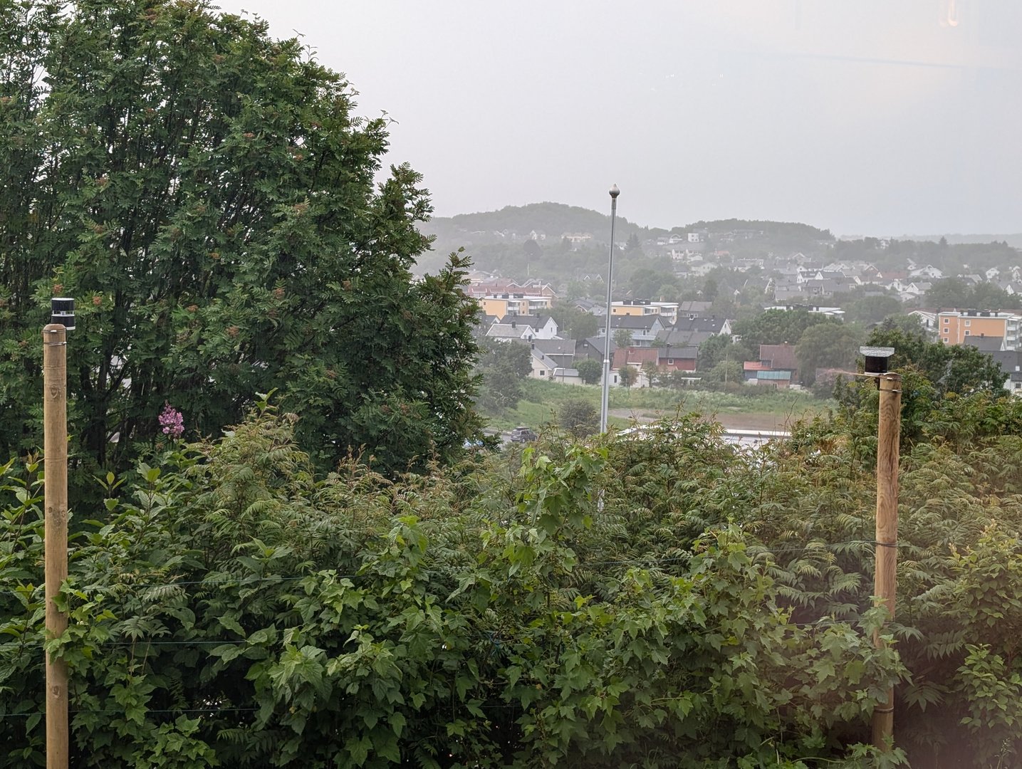 PXL_20240620_174518904.jpg