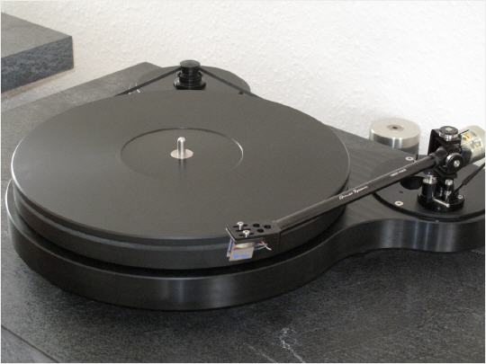 raven 05.jpg