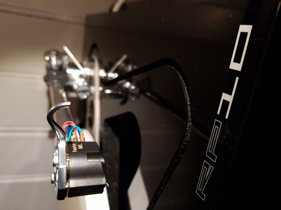 Rega10 Hana.jpg