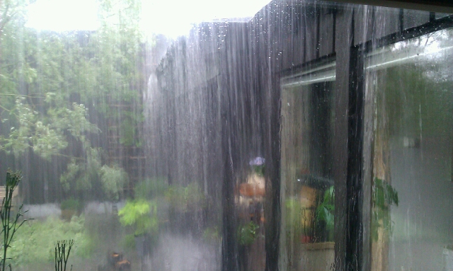 regn1.jpg