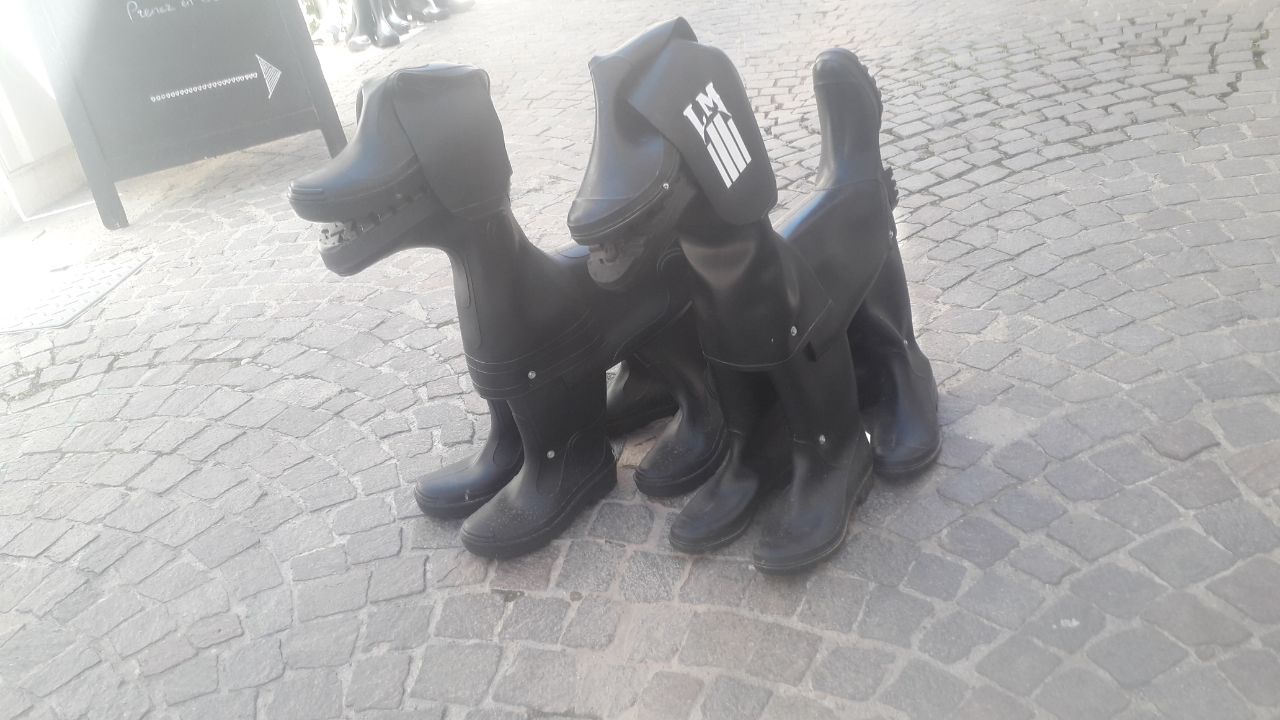 Resized_20240623_121046_8371.jpeg