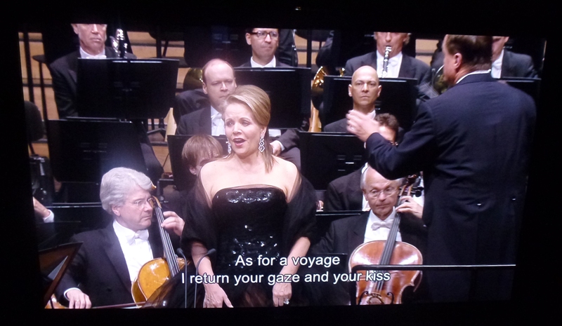 Richard Strauss (8).JPG
