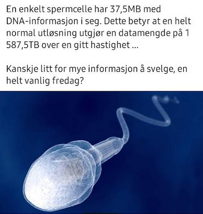 sædcelle datamengde.png