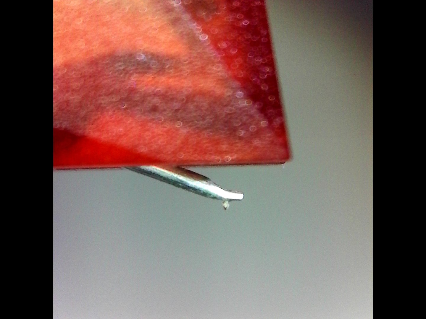 S20220812_0015.jpg