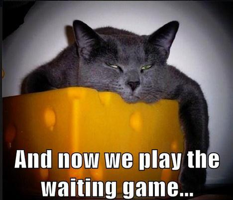 saupload_waiting_game.jpg