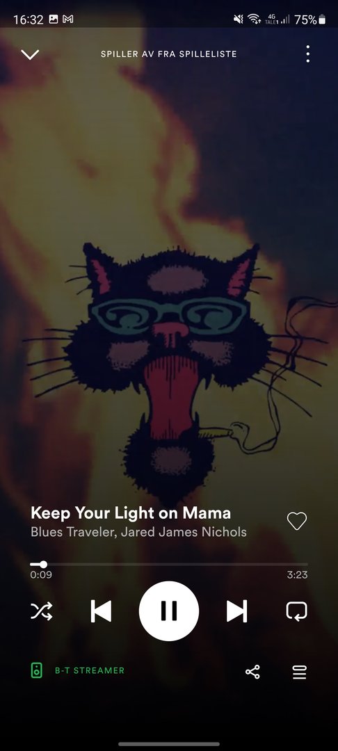Screenshot_20220312-163252_Spotify.jpg