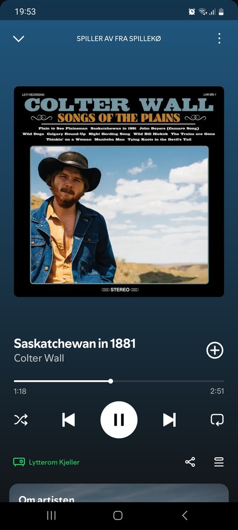 Screenshot_20241009_195355_Spotify.jpg
