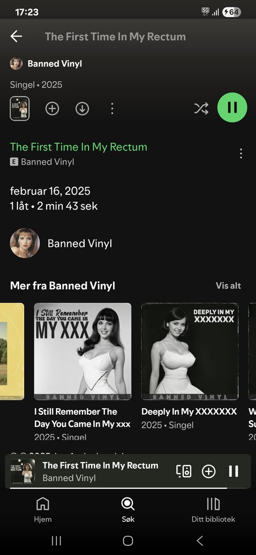 Screenshot_20250630_172359_Spotify.jpg