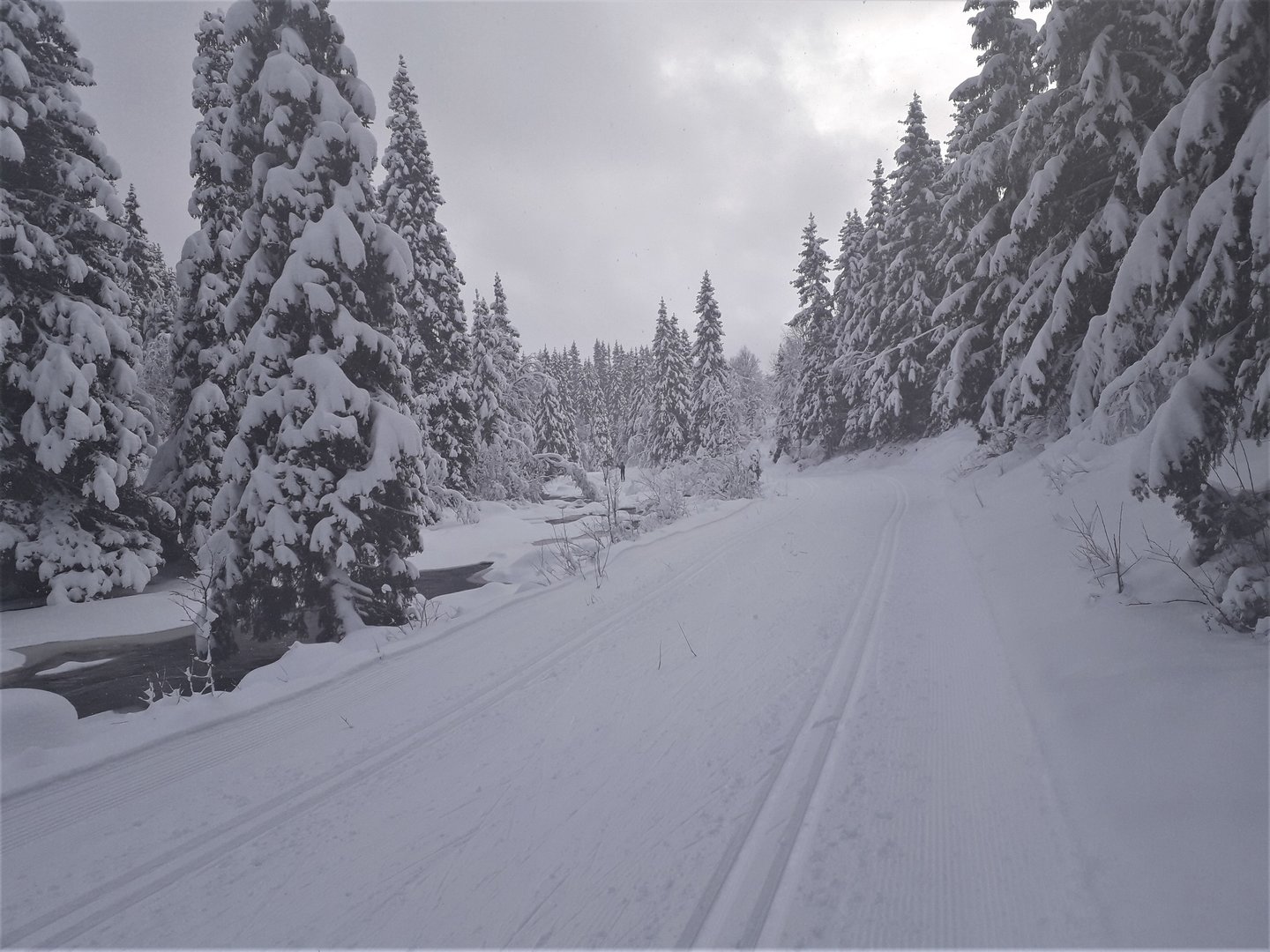 Sesongens første skitur.jpg