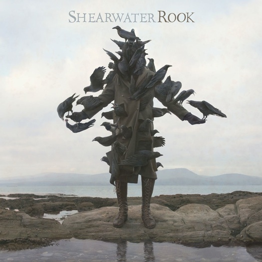 Shearwater_rook.jpg