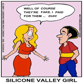 Silicone Valley Girl_315x315.jpg