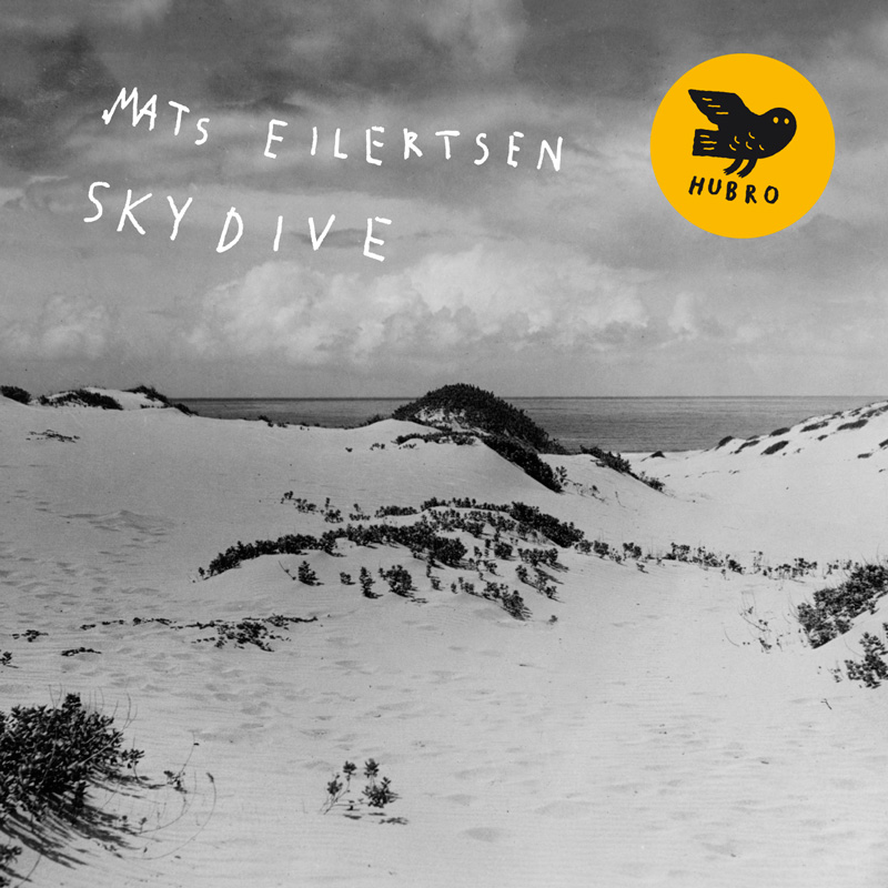 SkyDive_72dpi.jpg