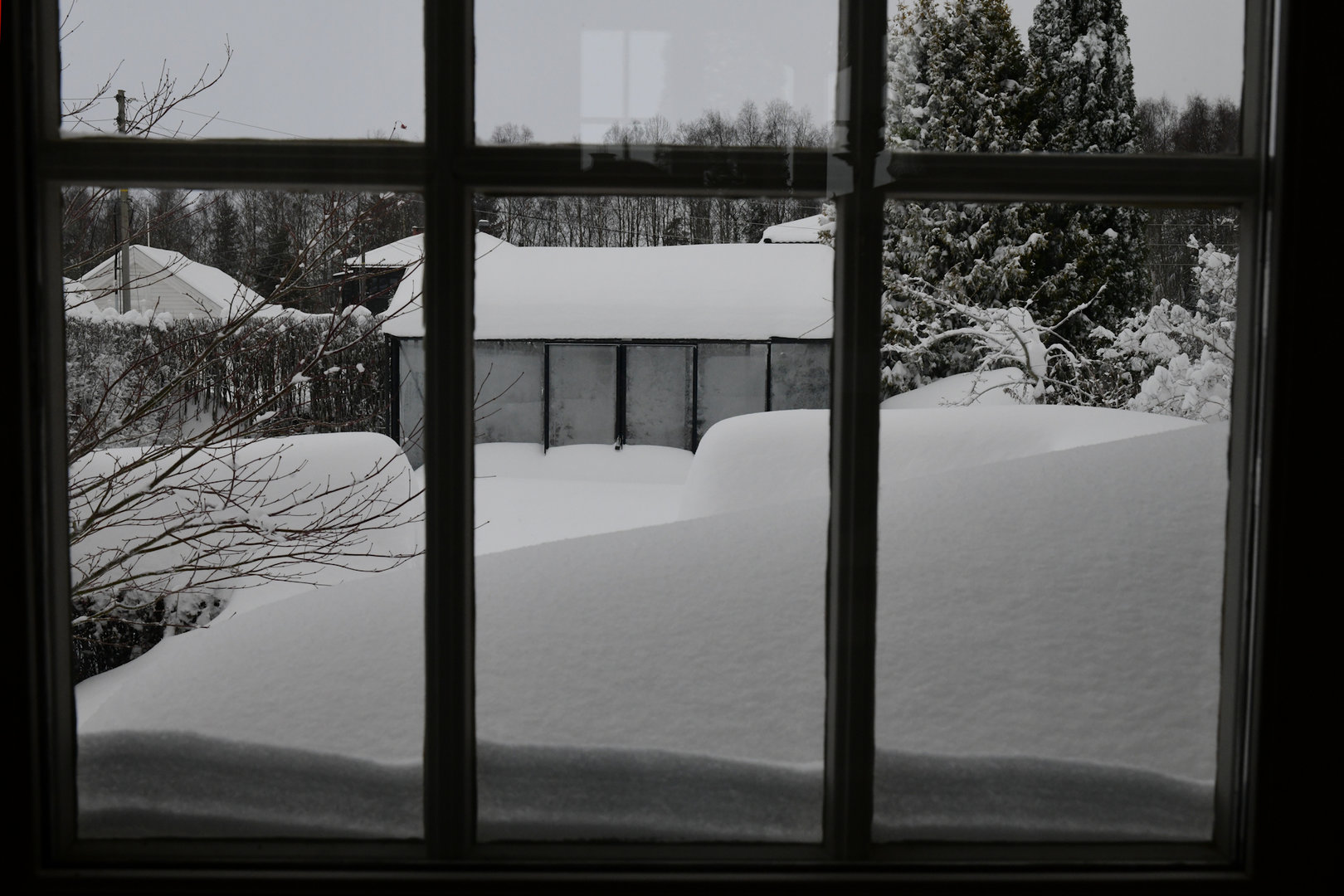 snø.jpg