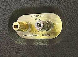 sonus2.jpg
