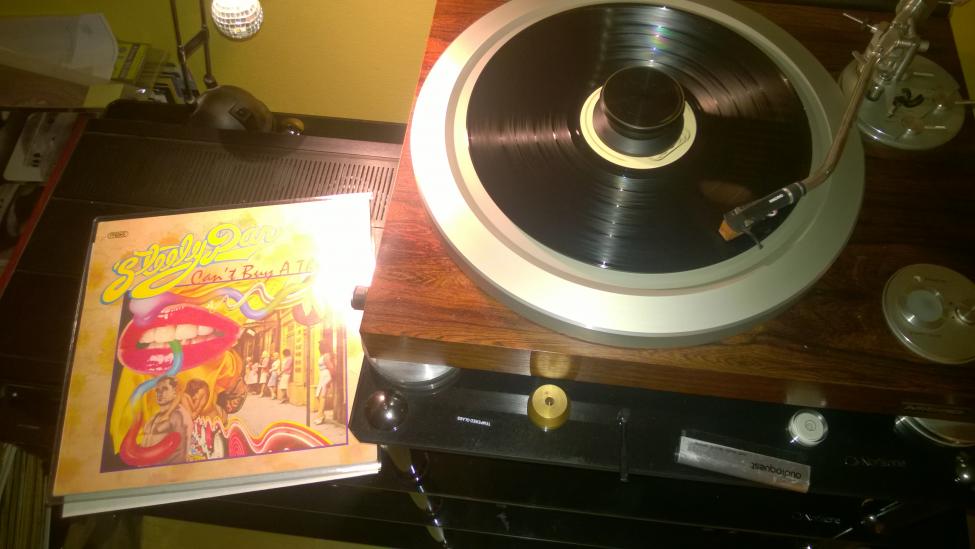 Steely Dan- Can`t Buy A Thrill.jpg