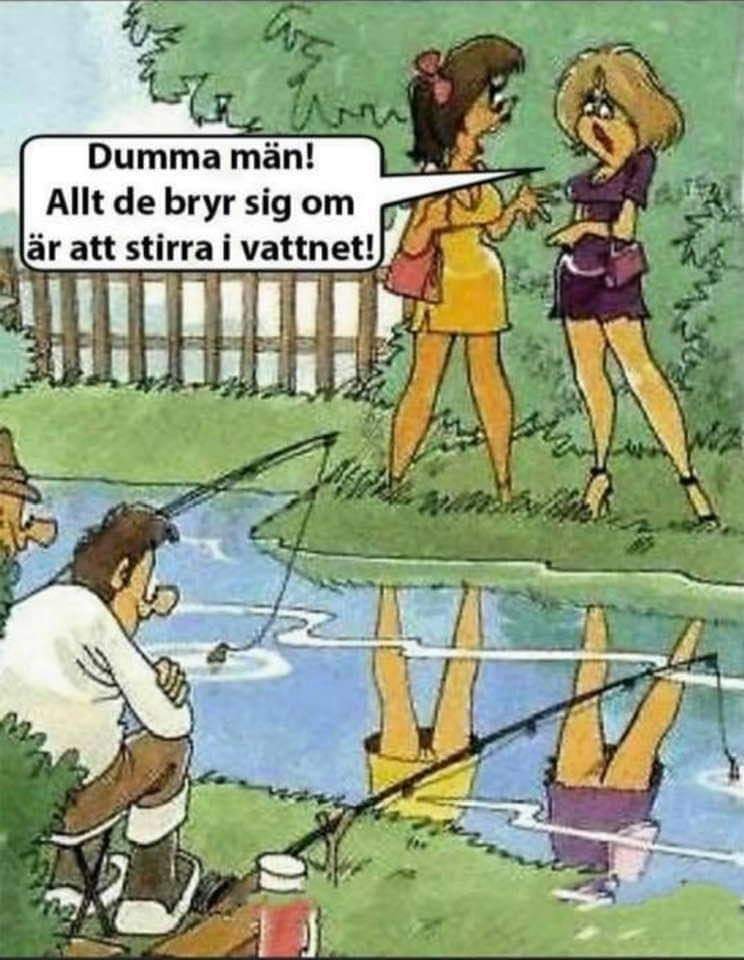 Stirre i Vannet.jpg