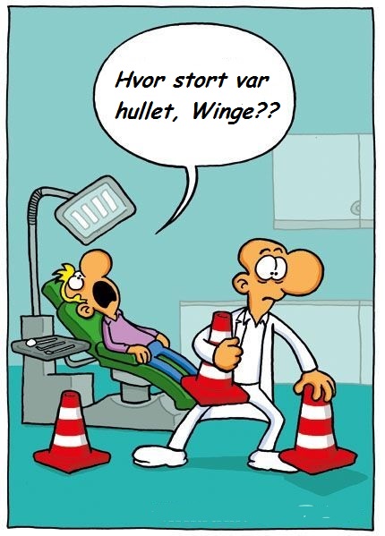 stort hull winge.jpg