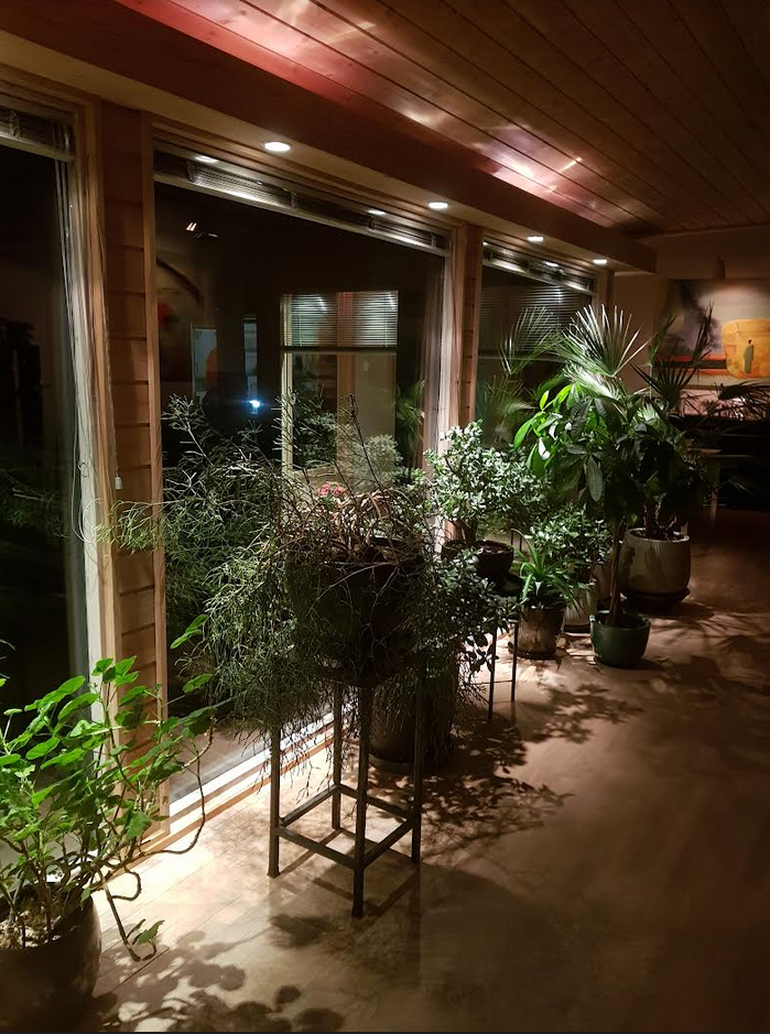 stua planter.png
