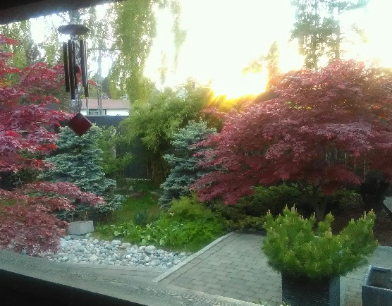 sunset.png