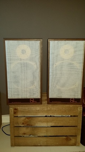 Tannoy Mercury M20 grill.jpg