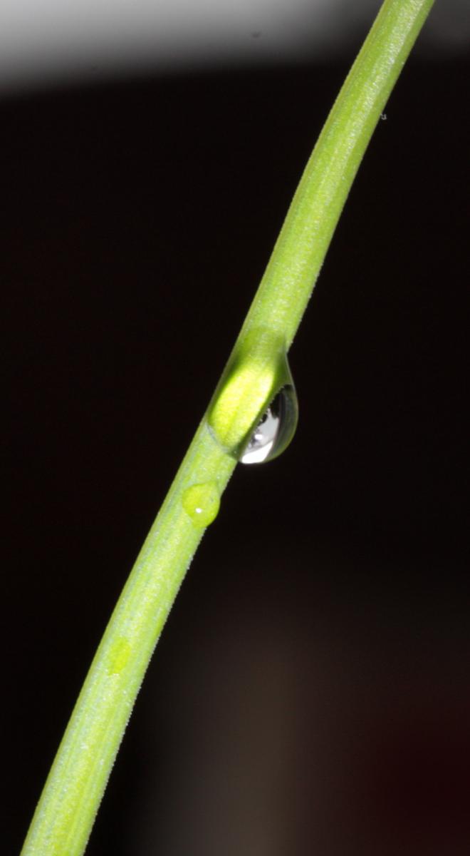 test 2.jpg