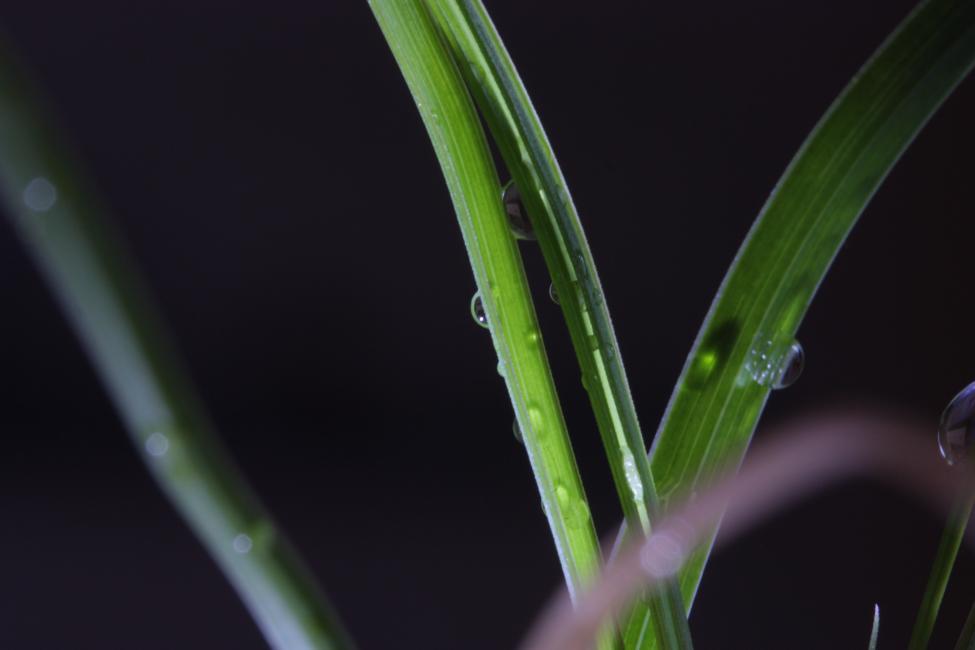 test 4.jpg