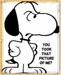 that picture snoopy.png