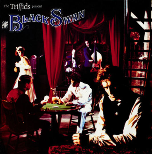 the triffids the black swan.jpg