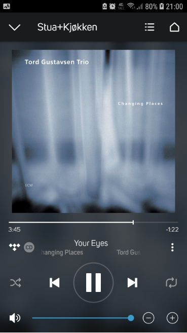 tord gustavsen trio - changing places.PNG