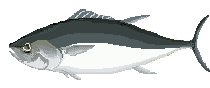 tuna.gif