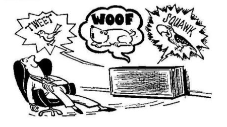 tweet-squawck-woof.thumb.png.1bbd3c1d9fae0b45828e9598b904e827.png