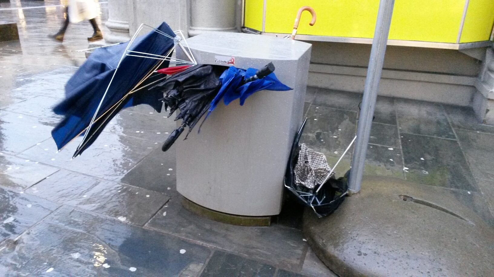VaarstemningBergen2014.jpeg