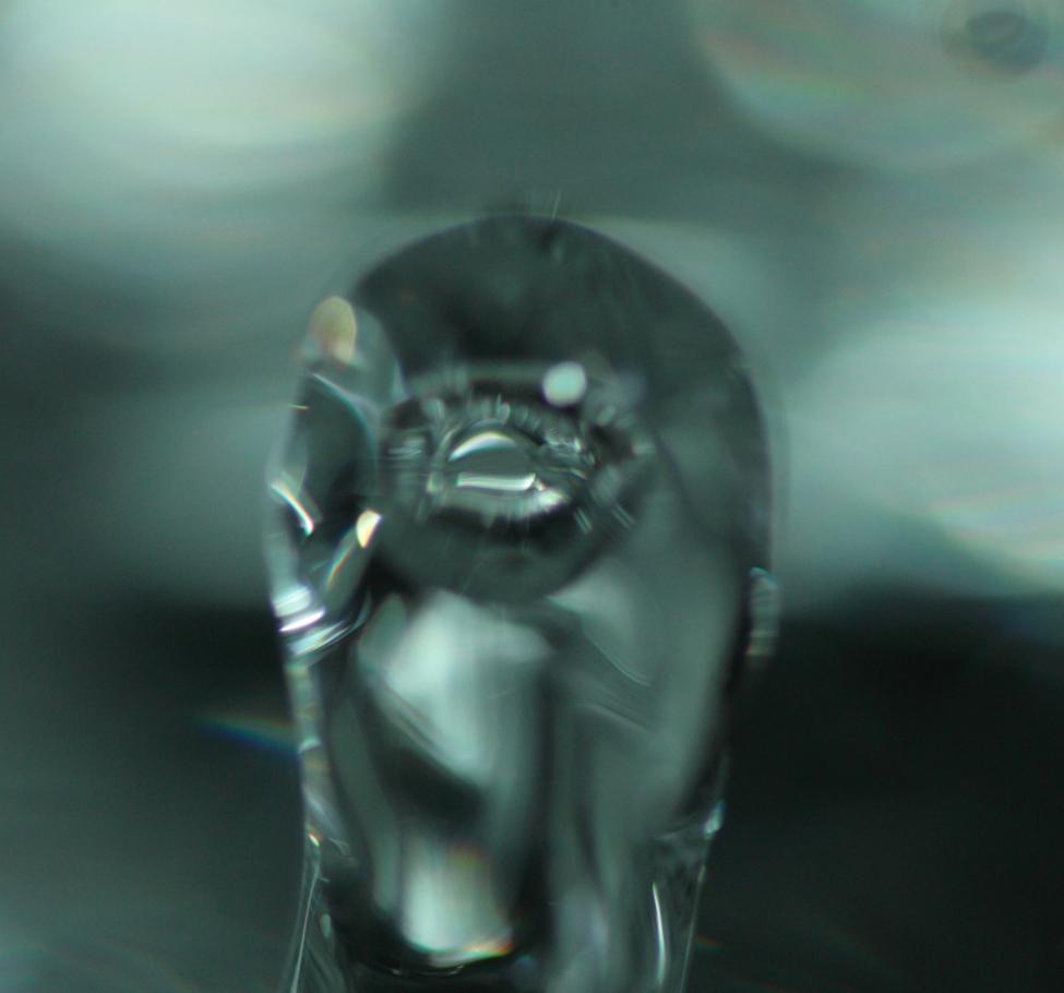vann 02.jpg