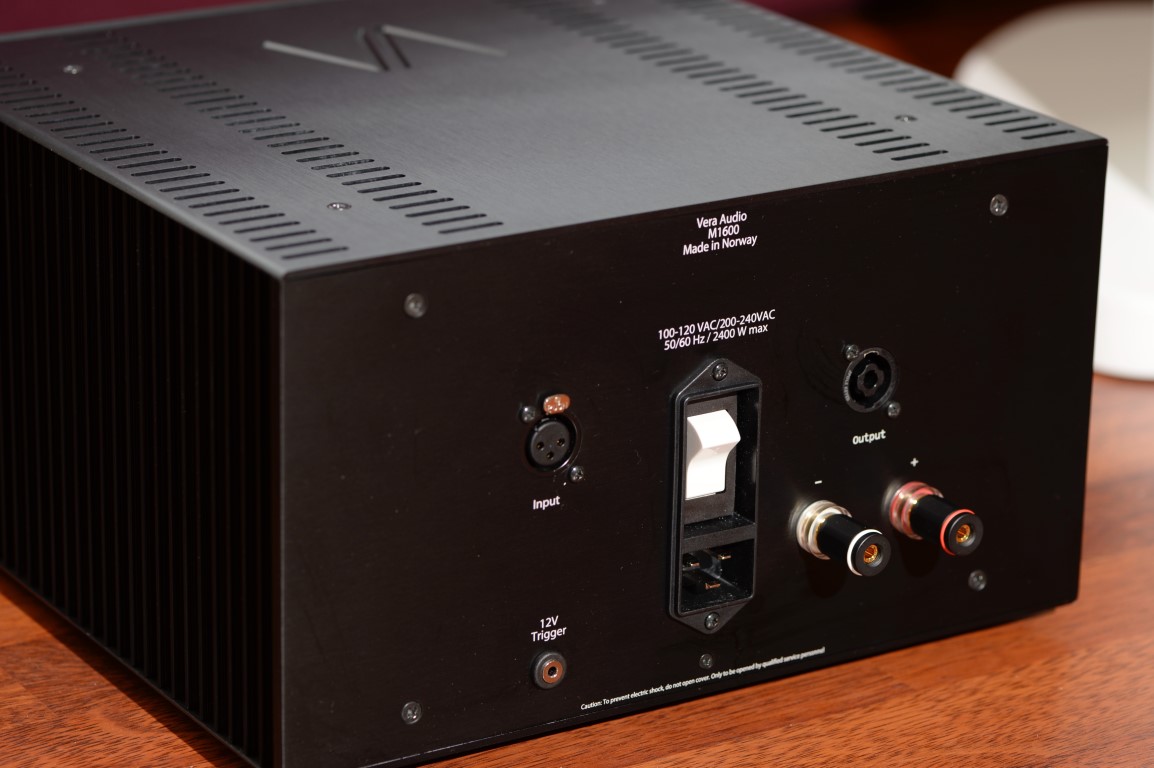 Vera Audio M1600_rear from side (Medium).jpeg