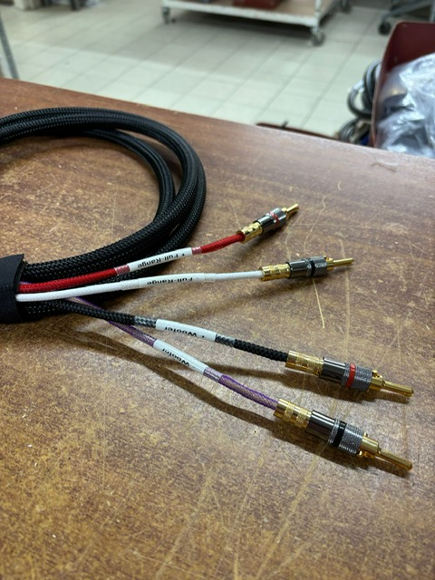 Vera Audio_4 pole speakon to banana connectors cable_marked leads.JPG
